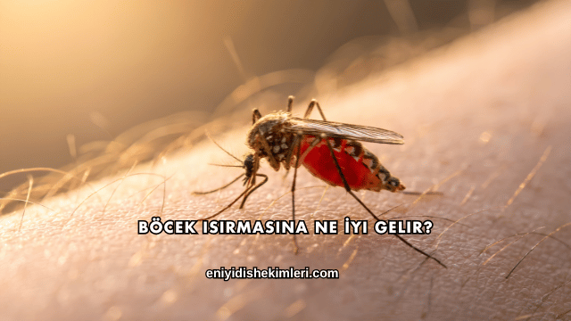 Böcek Isırmasına Ne İyi Gelir?