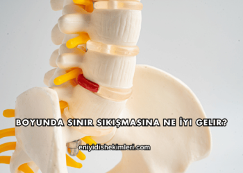 Boyunda Sinir Sıkışmasına Ne İyi Gelir?