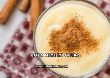 Boza Neye İyi Gelir?