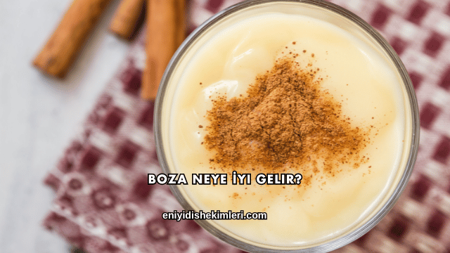 Boza Neye İyi Gelir?