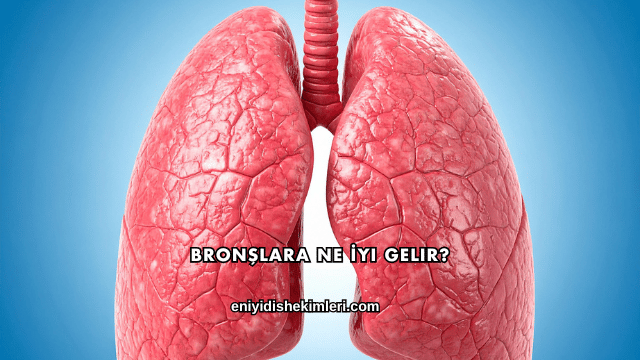 Bronşlara Ne İyi Gelir?