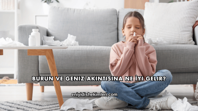 Burun ve Geniz Akıntısına Ne İyi Gelir?