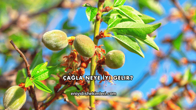 Çağla Neye İyi Gelir?