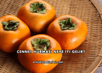 Cennet Hurması Neye İyi Gelir?