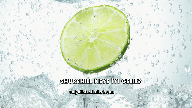 Churchill Neye İyi Gelir?