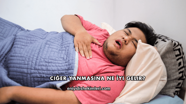 Ciğer Yanmasına Ne İyi Gelir?