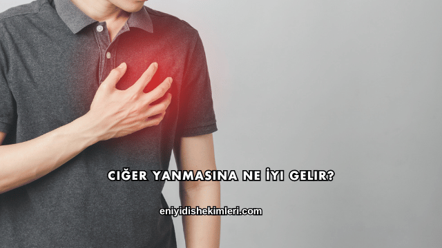 Ciğer Yanmasına Ne İyi Gelir?
