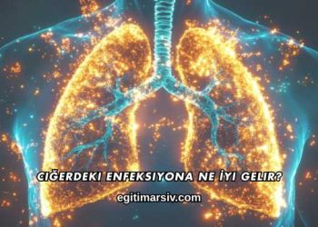 Ciğerdeki Enfeksiyona Ne İyi Gelir?