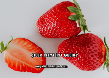 Çilek Neye İyi Gelir?