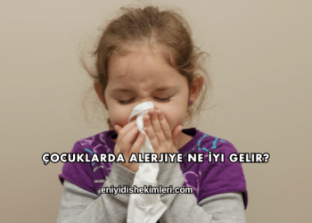 Çocuklarda Alerjiye Ne İyi Gelir?
