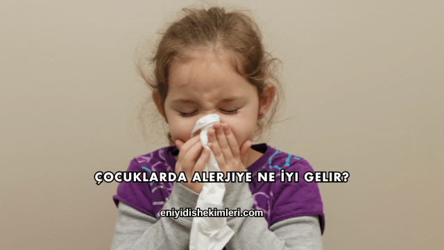 Çocuklarda Alerjiye Ne İyi Gelir?