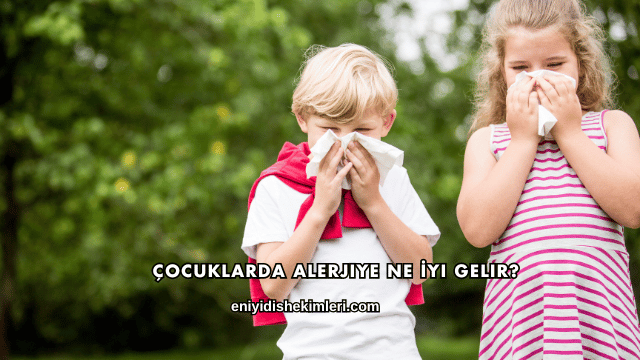 Çocuklarda Alerjiye Ne İyi Gelir?