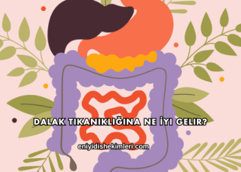 Dalak Tıkanıklığına Ne İyi Gelir?