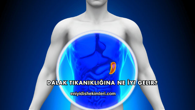 Dalak Tıkanıklığına Ne İyi Gelir?