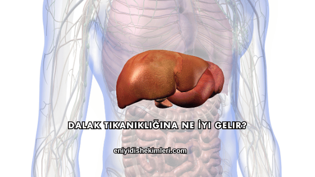 Dalak Tıkanıklığına Ne İyi Gelir?