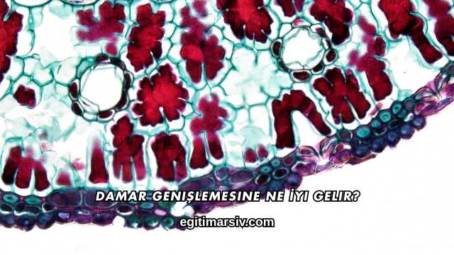 Damar Genişlemesine Ne İyi Gelir?