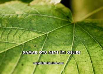 Damar Otu Neye İyi Gelir?