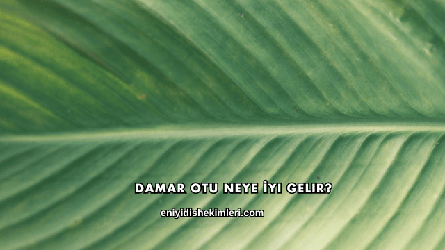 Damar Otu Neye İyi Gelir?