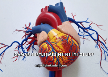 Damar Sertleşmesine Ne İyi Gelir?
