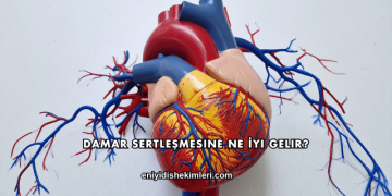 Damar Sertleşmesine Ne İyi Gelir?