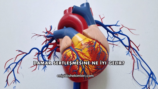 Damar Sertleşmesine Ne İyi Gelir?
