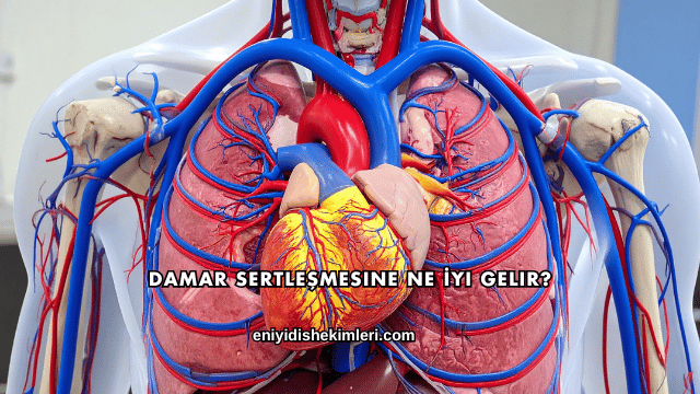 Damar Sertleşmesine Ne İyi Gelir?