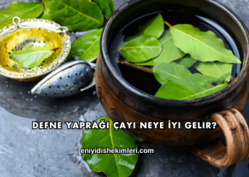 Defne Yaprağı Çayı Neye İyi Gelir?