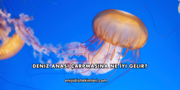 Deniz Anası Çarpmasına Ne İyi Gelir?