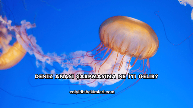 Deniz Anası Çarpmasına Ne İyi Gelir?