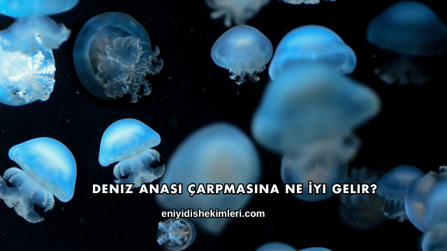 Deniz Anası Çarpmasına Ne İyi Gelir?