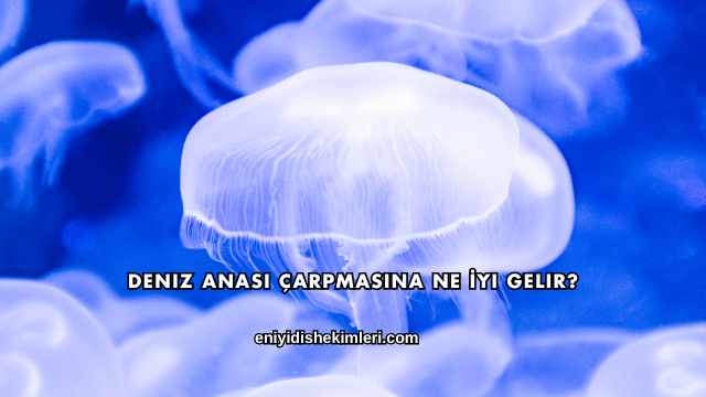 Deniz Anası Çarpmasına Ne İyi Gelir?