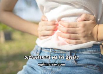 Dizanteriye Ne İyi Gelir?