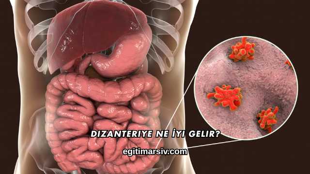 Dizanteriye Ne İyi Gelir?