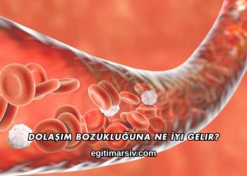 Dolaşım Bozukluğuna Ne İyi Gelir?