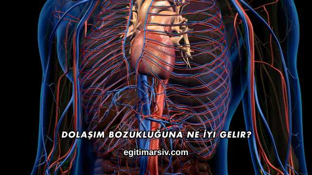 Dolaşım Bozukluğuna Ne İyi Gelir?