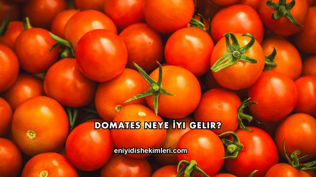 Domates Neye İyi Gelir?