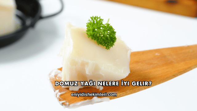 Domuz Yağı Nelere İyi Gelir?