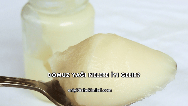 Domuz Yağı Nelere İyi Gelir?