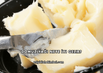 Domuz Yağı Neye İyi Gelir?