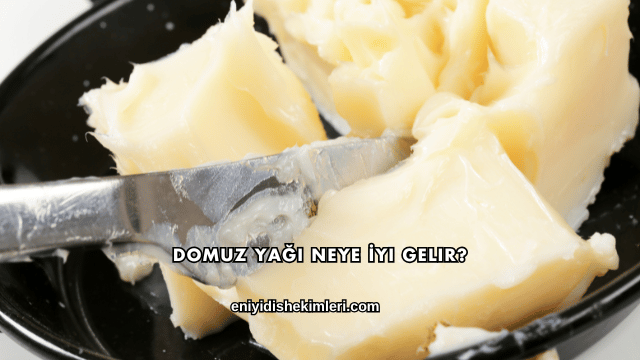 Domuz Yağı Neye İyi Gelir?