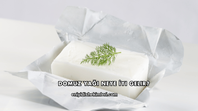 Domuz Yağı Neye İyi Gelir?