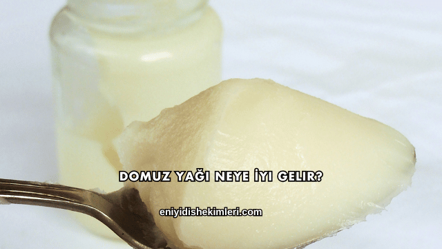 Domuz Yağı Neye İyi Gelir?