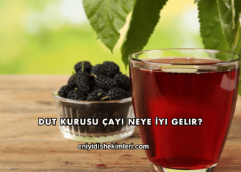 Dut Kurusu Çayı Neye İyi Gelir?