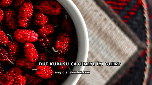 Dut Kurusu Çayı Neye İyi Gelir?