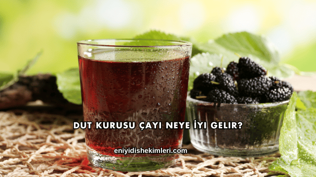 Dut Kurusu Çayı Neye İyi Gelir?