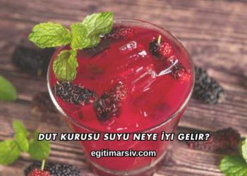 Dut Kurusu Suyu Neye İyi Gelir?