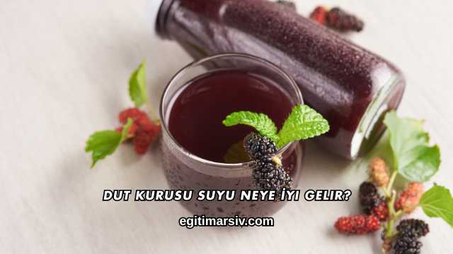 Dut Kurusu Suyu Neye İyi Gelir?