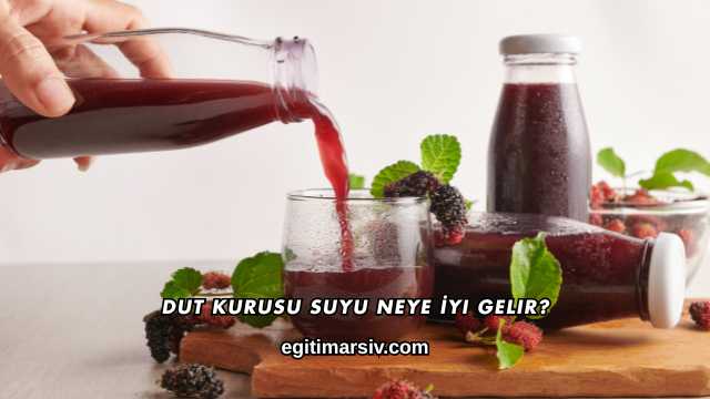 Dut Kurusu Suyu Neye İyi Gelir?