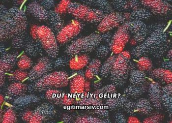 Dut Neye İyi Gelir?