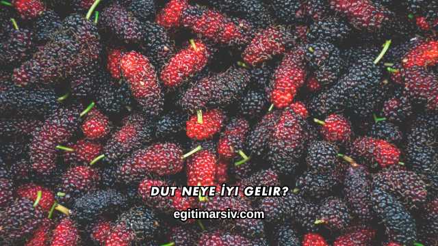 Dut Neye İyi Gelir?